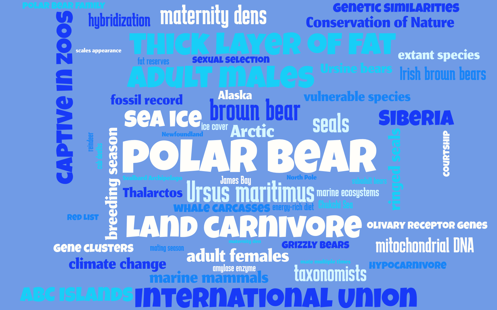 Word cloud with 57 words like polar bear, Ursus maritimus and Arctic in yellow and blue.