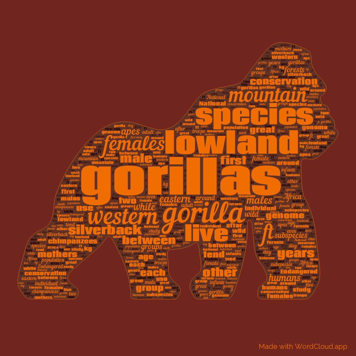 Word cloud in a Gorilla shape with 50 words like gorillas, gorilla and lowland in orange and red.