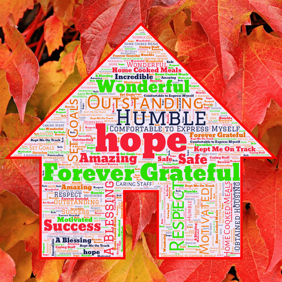 Word cloud in a House shape with 18 words like hope, Forever Grateful and Respect in multicolor.