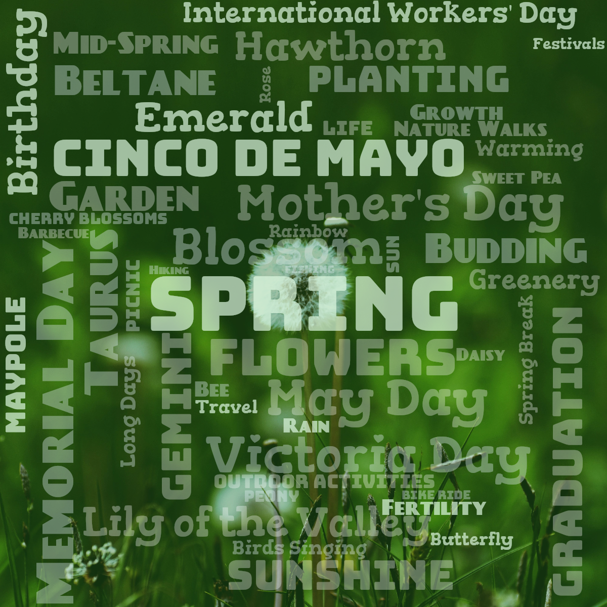 Word cloud with 50 words like Spring, Flowers and Blossom in green, white and blue.