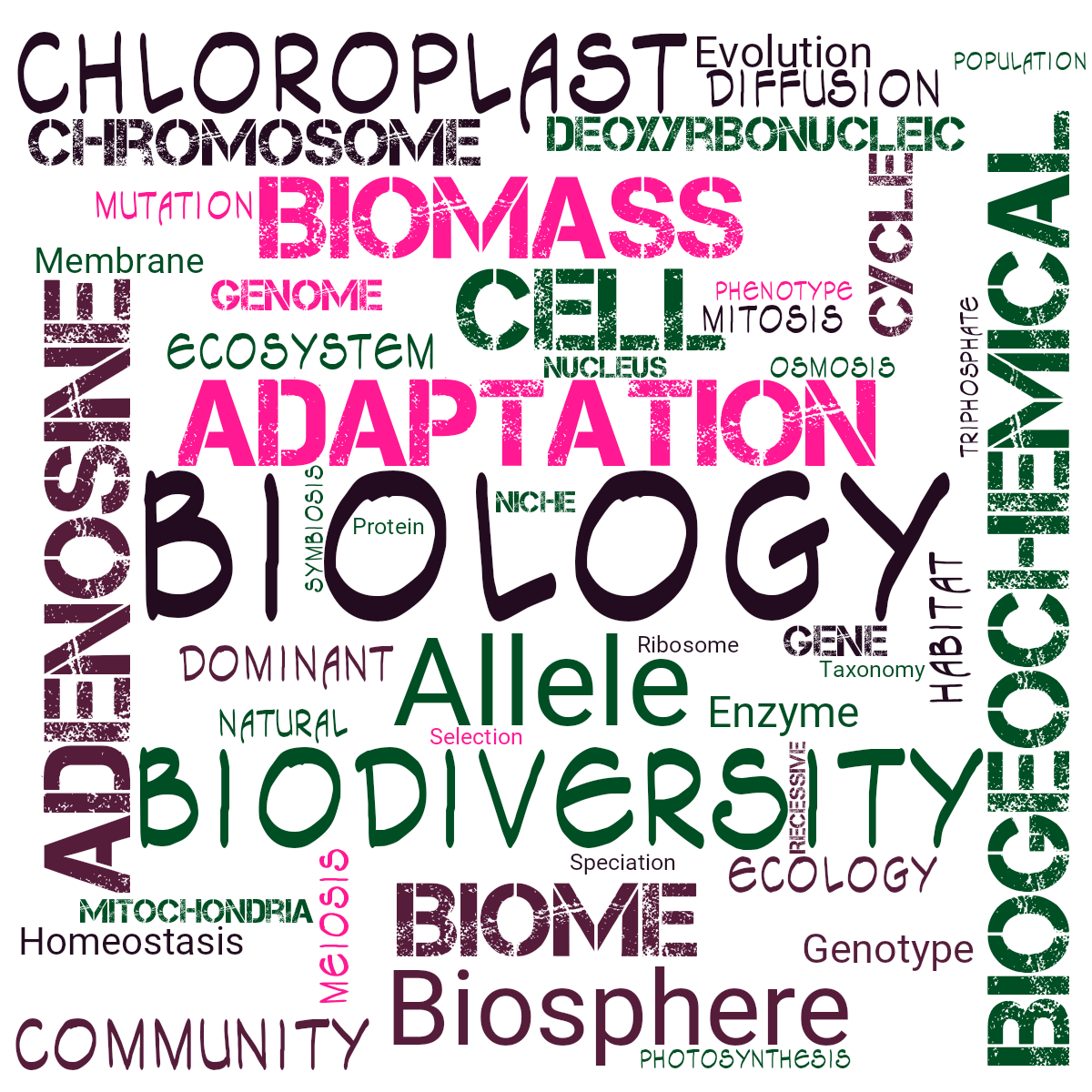 Word cloud with 47 words like Biology, Adaptation and Adenosine in purple, pink and green.