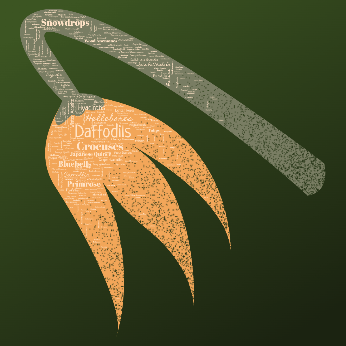 Word cloud in a custom shape with 41 words like Daffodils, Crocuses and Snowdrops in orange and green.