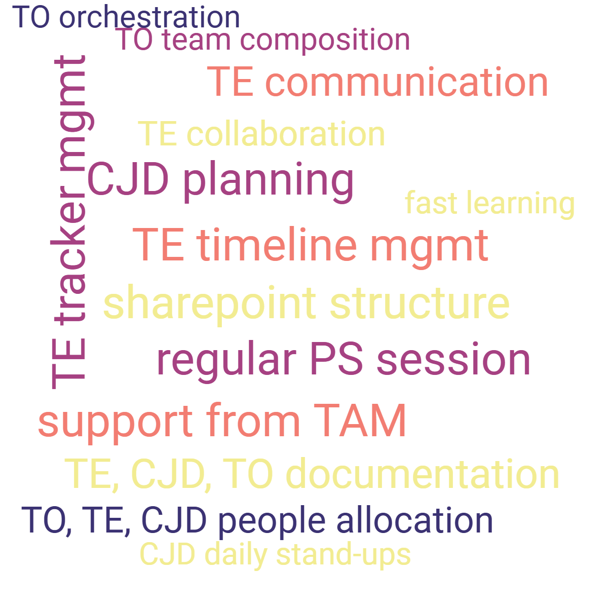 Word cloud with 14 words like regular PS session, fast learning and support from TAM in multicolor.