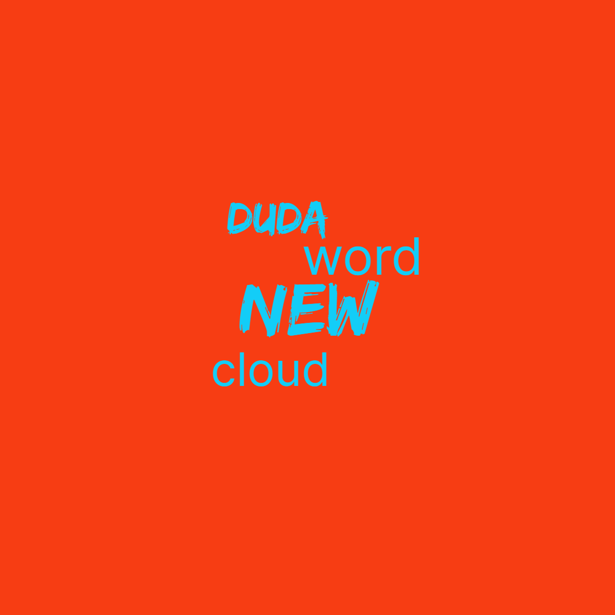 Word cloud with 4 words like new, word and cloud in bright blue and red.