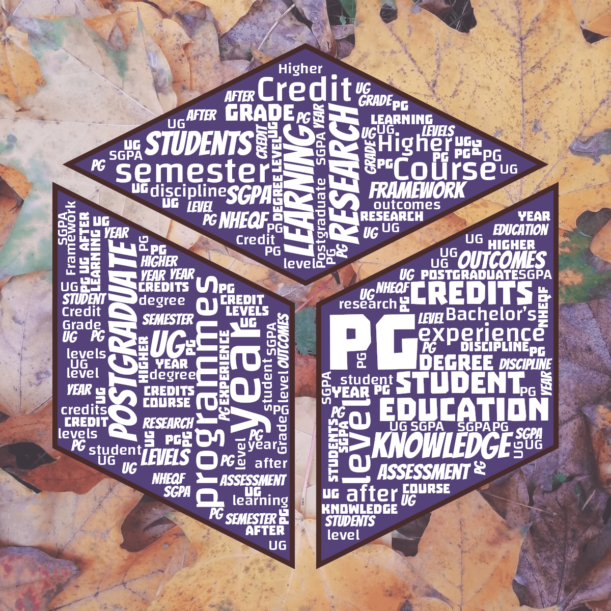 Word cloud in a Cube shape with 29 words like PG, year and programmes in white, purple and red.