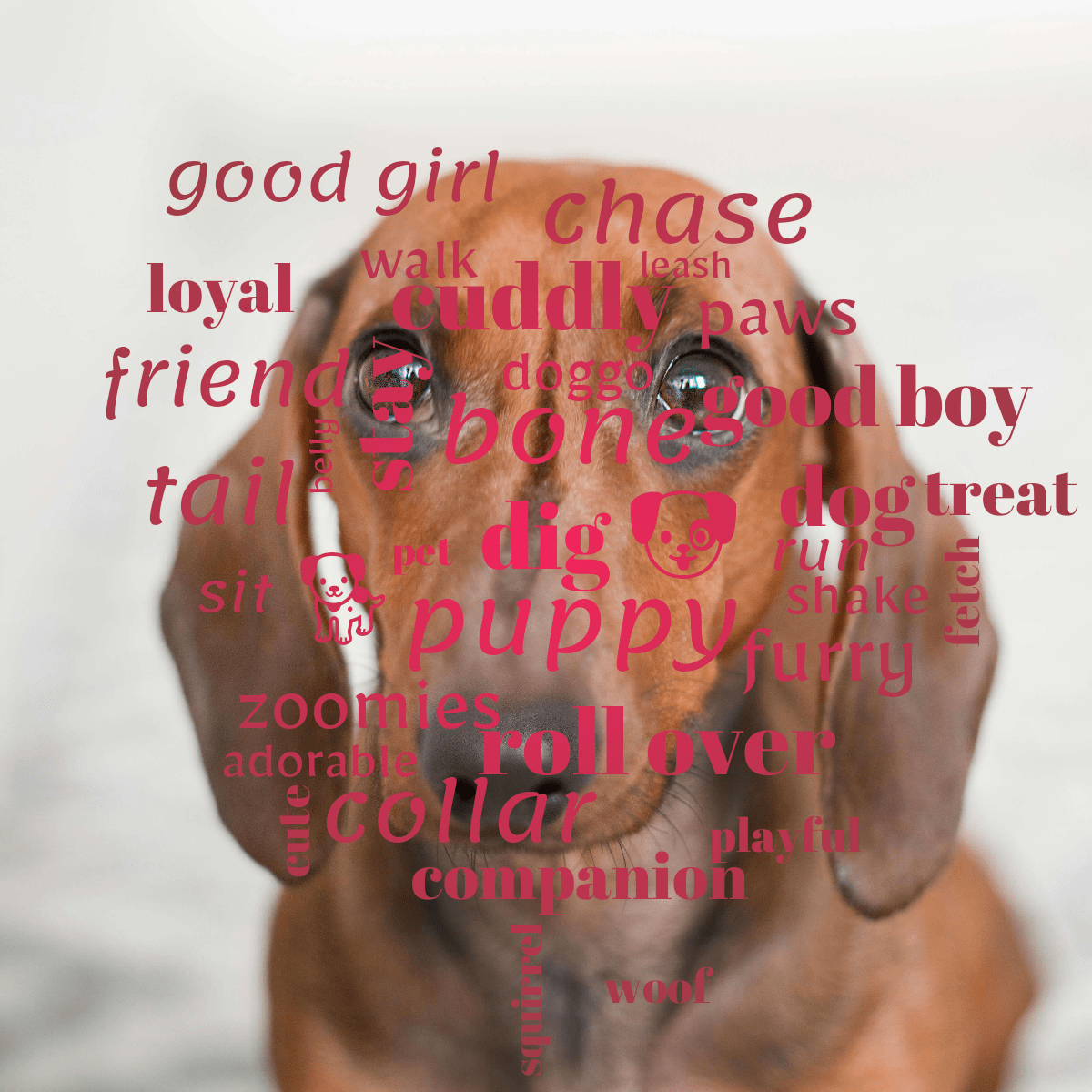 Word cloud with 35 words like 🐕, 🐶 and dog in red.