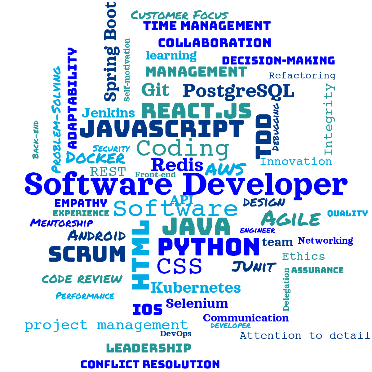 Word cloud with 62 words like Software Developer, Software and Coding in blue.