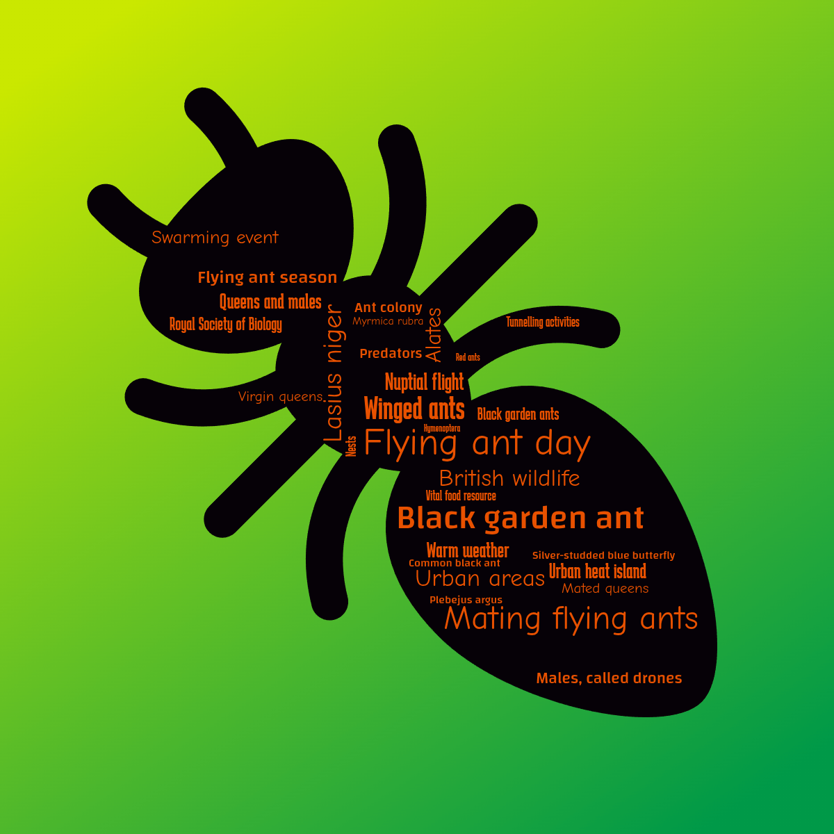 Word cloud in a custom shape with 30 words like Flying ant day, Mating flying ants and Winged ants in orange and green.