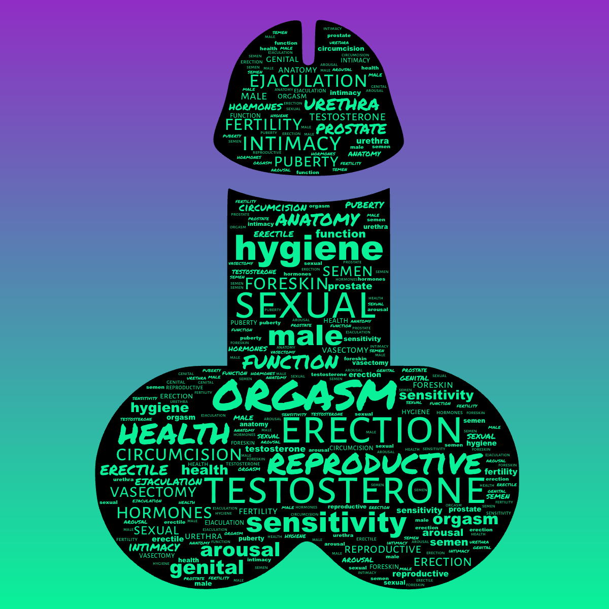 Word cloud in a custom shape with 25 words like anatomy, reproductive and male in bright green and purple.