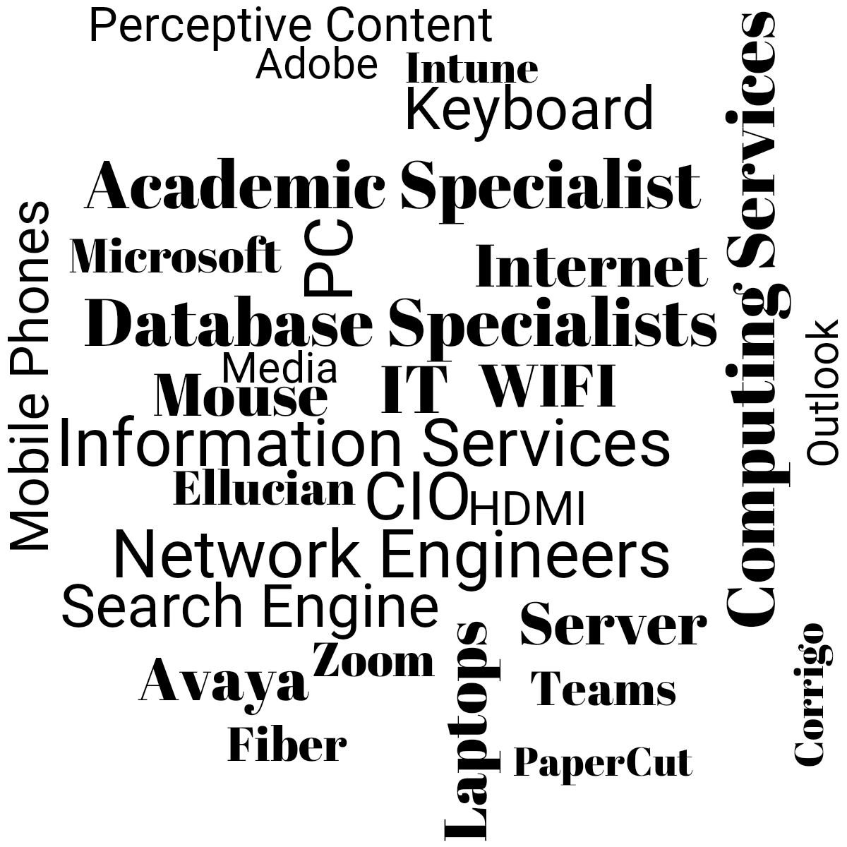 Word cloud with 30 words like Information Services, IT and CIO in black.