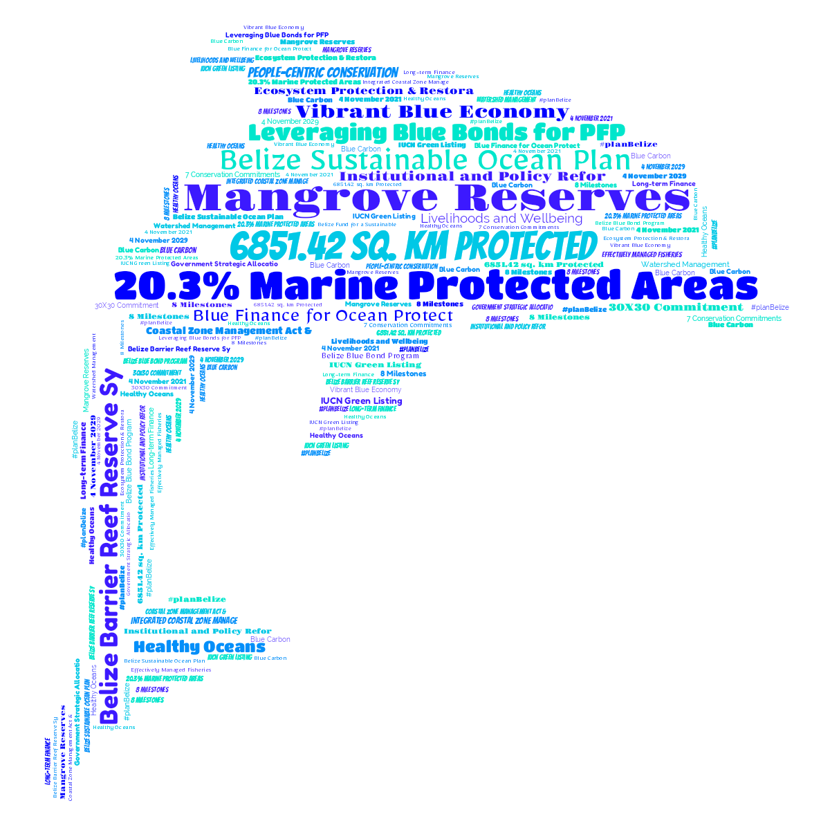 Word cloud in a Dolphin shape with 29 words like 20.3% Marine Protected Areas, 6851.42 sq. km Protected and Mangrove Reserves in blue and white.