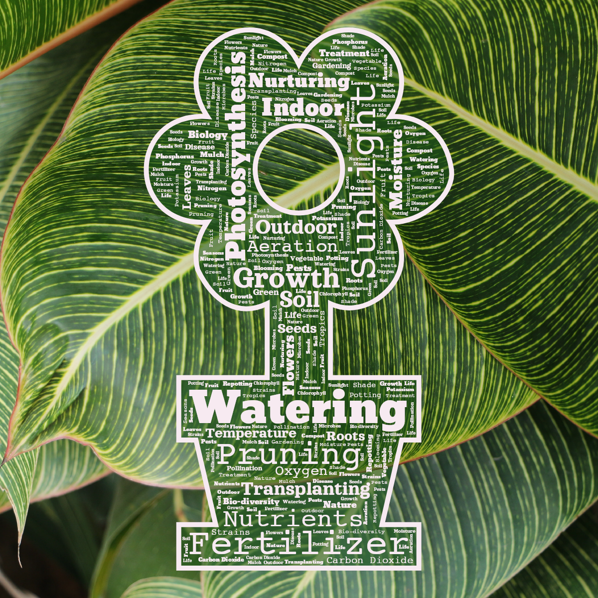 Word cloud in a Flower Cooking Potted Plant shape with 48 words like Watering, Sunlight and Fertilizer in pink and green.