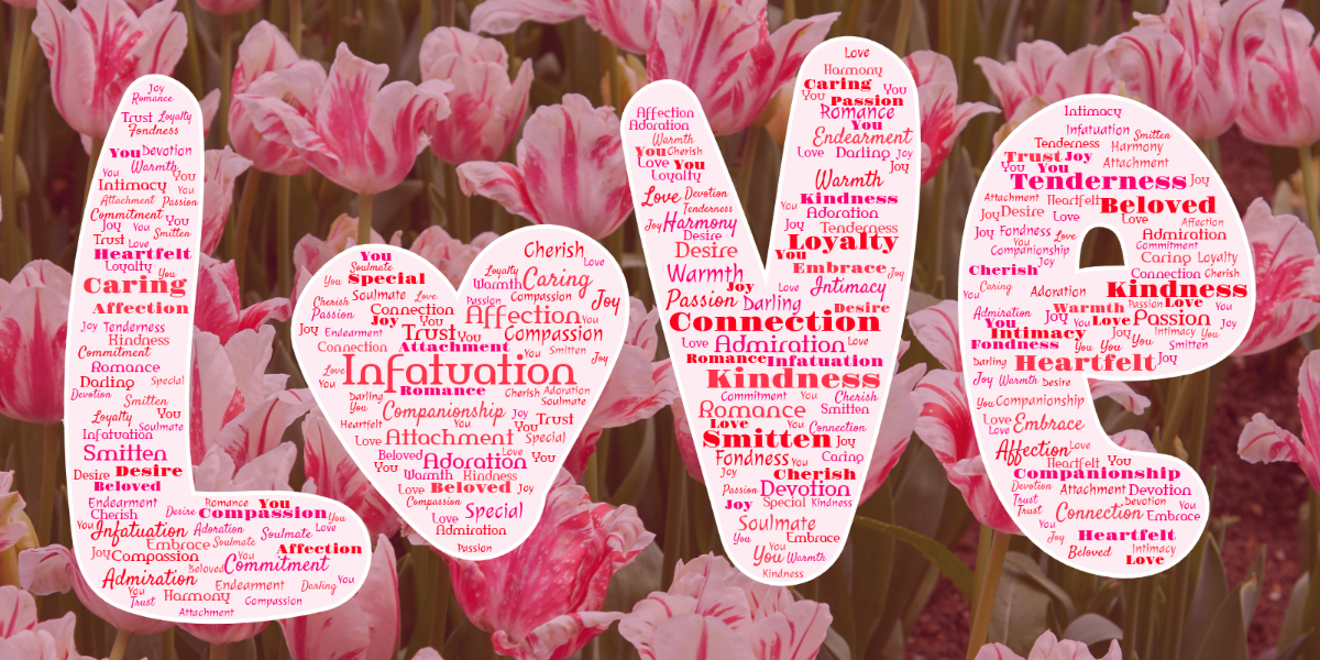 Word cloud in a Love shape with 34 words like Affection, Passion and Romance in pink, red and white.