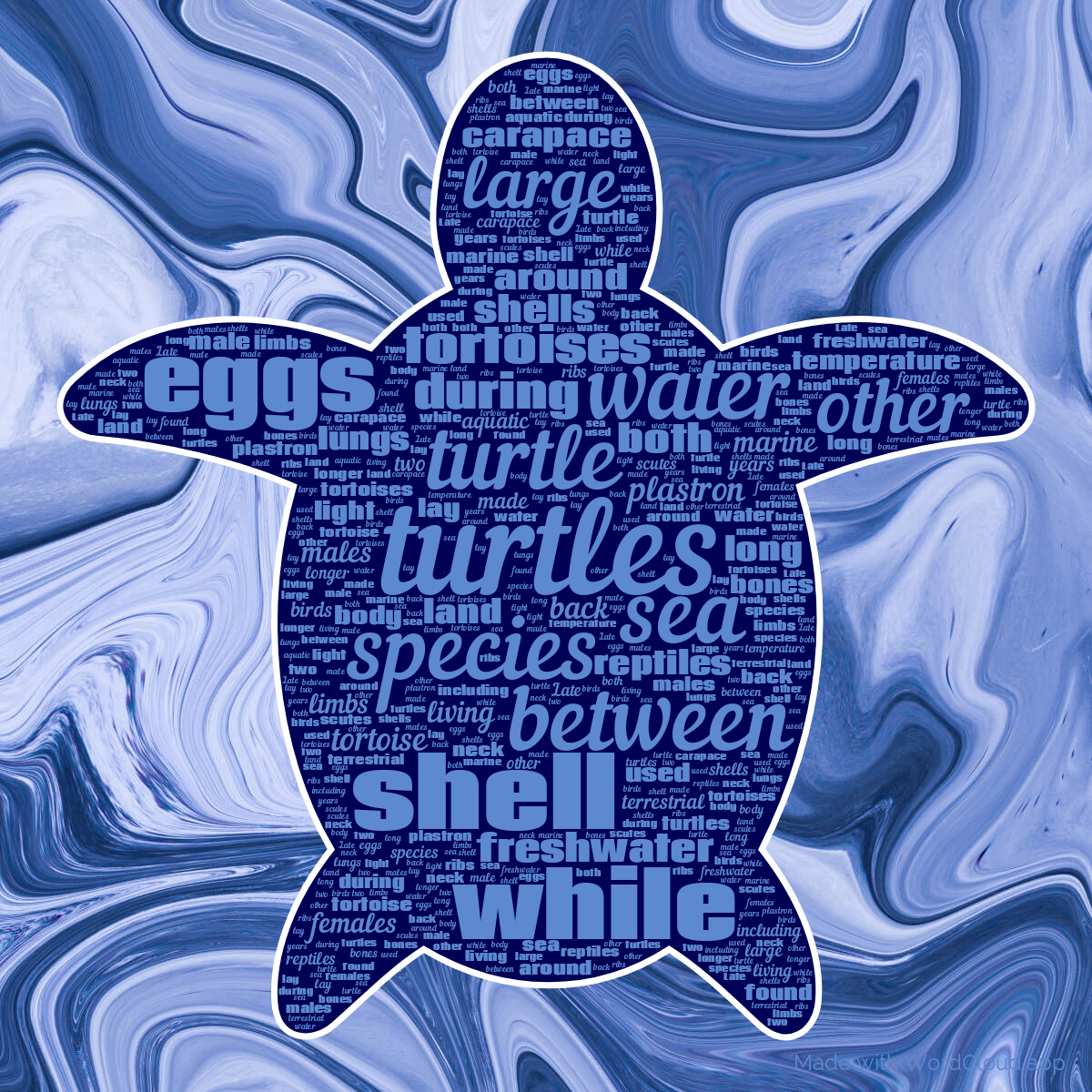Word cloud in a Turtle shape with 50 words like turtles, turtle and species in blue and white.