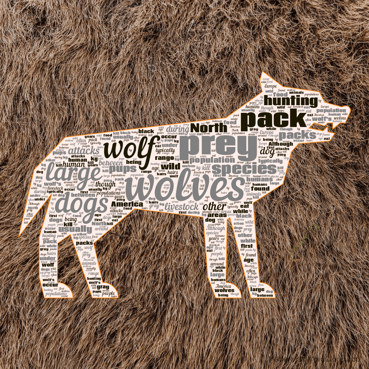 Word cloud in a Wolf shape with 50 words like wolves, wolf and prey in multicolor.
