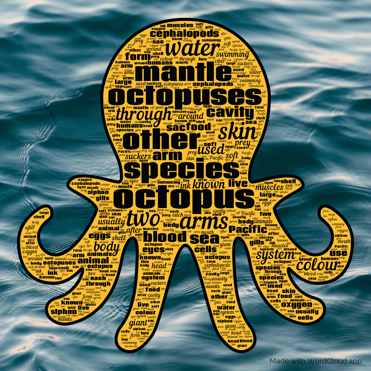 Word cloud in an Octopus shape with 50 words like octopus, octopuses and species in black and yellow.