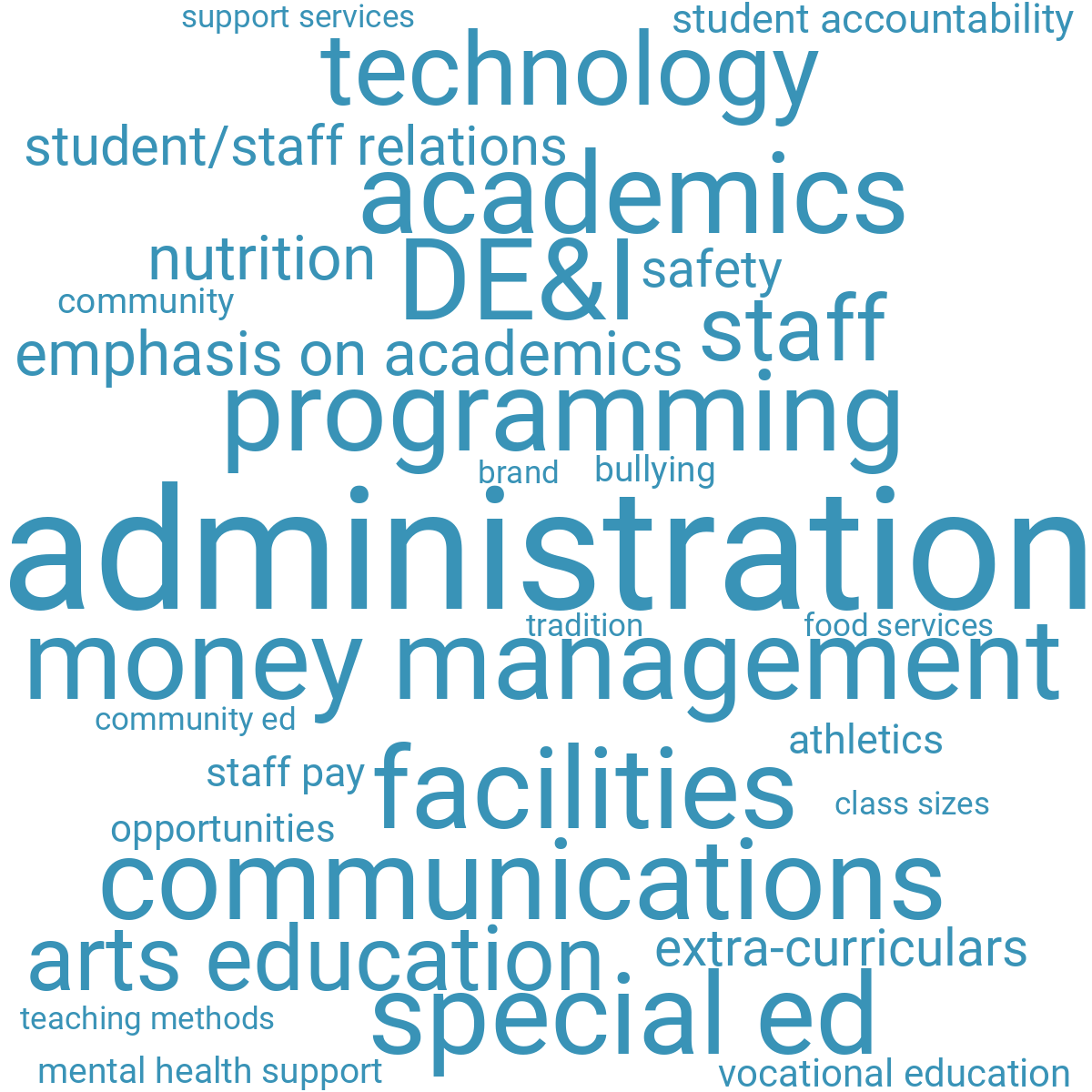 Word cloud with 31 words like administration, programming and money management in blue.