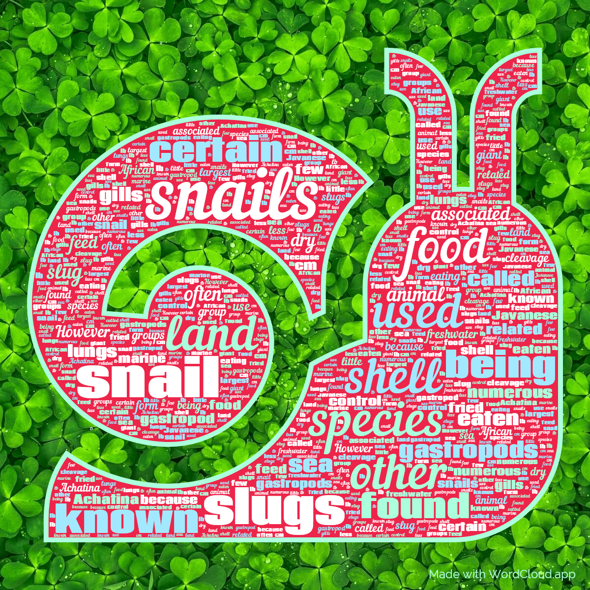 Word cloud in a Snail shape with 50 words like snails, snail and land in multicolor.