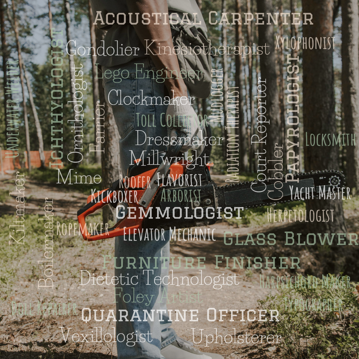 Word cloud with 50 words like Flavorist, Millwright and Arborist in white, orange and green.