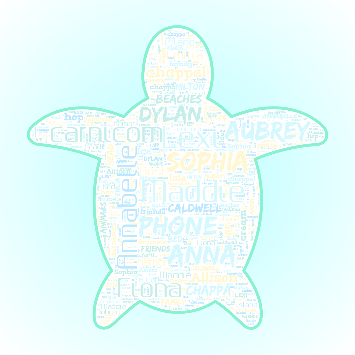 Word cloud in a Turtle shape with 30 words like Maddie, Sophia and phone in multicolor.