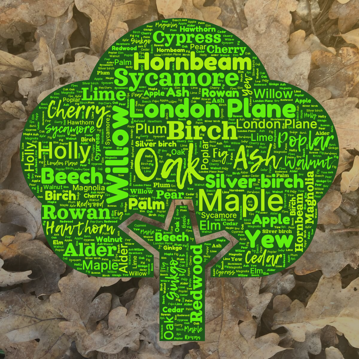 Word cloud in a Tree shape with 30 words like Oak, Birch and Maple in green.