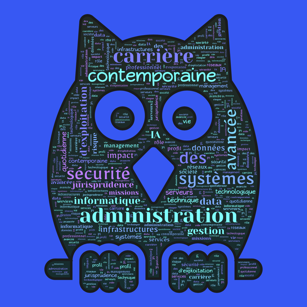 Word cloud in an Owl shape with 30 words like administration, des and sécurité in multicolor.